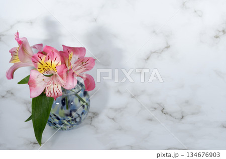 寒色のガラスの一輪挿しに挿したアルストロメリアの花(左配置) 寒色のガラスの一輪挿しに挿したアルストロメリアの花(左配置) 134676903