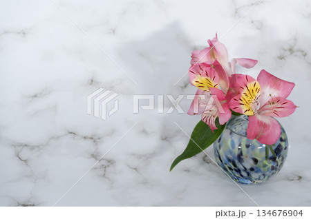 寒色のガラスの一輪挿しに挿したアルストロメリアの花(右配置) 寒色のガラスの一輪挿しに挿したアルストロメリアの花(右配置) 134676904