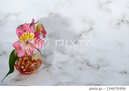 暖色のガラスの一輪挿しに挿したアルストロメリアの花(左配置) 暖色のガラスの一輪挿しに挿したアルストロメリアの花(左配置) 134676906