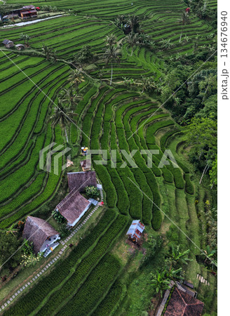 Magnificent Drone Shot Showcasing Verdant Rice Paddies 134676940