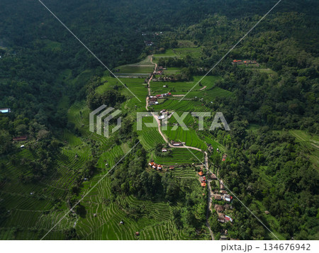 Elevated View Showing Winding Paths And Lush Layered Fields On Hillside 134676942