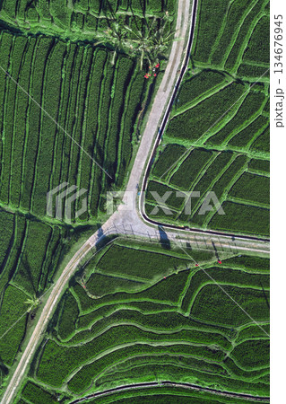 Footage From Above Showcasing Thriving Green Rice Plantations And Shadows Footage From Above Showcasing Thriving Green Rice Plantations And Shadows 134676945