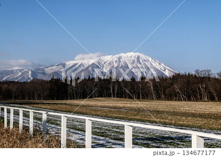 春には一面に菜の花が咲く小岩井農場の柵と岩手山の初冬の風景 134677177