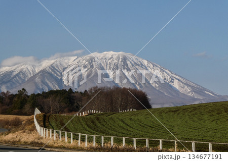 小岩井農場の岩手山に向かって伸びる農道 宮沢賢治が愛して何度も訪れた小岩井農場の農道 小岩井農場の岩手山に向かって伸びる農道 宮沢賢治が愛して何度も訪れた小岩井農場の農道 134677191