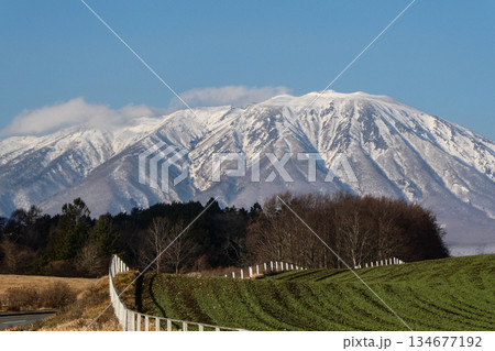 小岩井農場の岩手山に向かって伸びる農道　宮沢賢治が愛して何度も訪れた小岩井農場の農道　 134677192