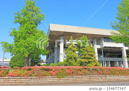 愛知県稲沢市、新緑に囲まれた稲沢市役所の風景 134677347