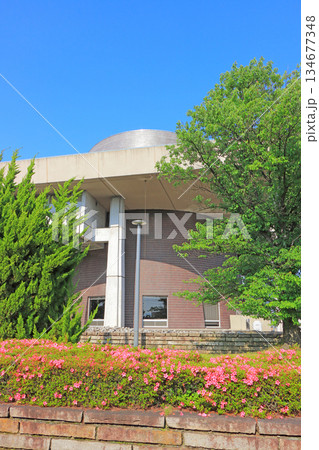 愛知県稲沢市、新緑に囲まれた稲沢市役所の風景 134677348