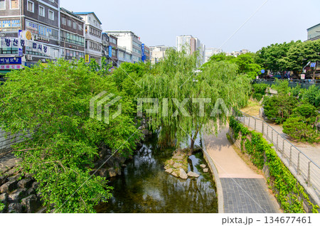 ソウルの美しい街並み風景 134677461