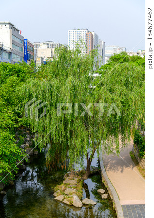 ソウルの美しい街並み風景 134677462