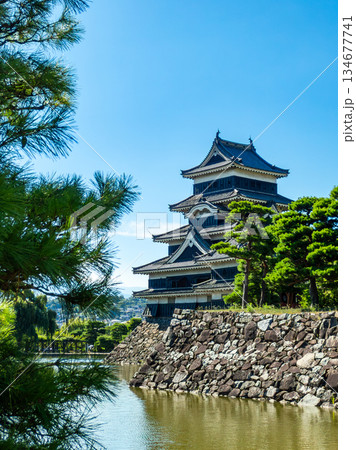 夏の爽やかな松本城の景色 お堀と城郭 夏の爽やかな松本城の景色 お堀と城郭 134677741