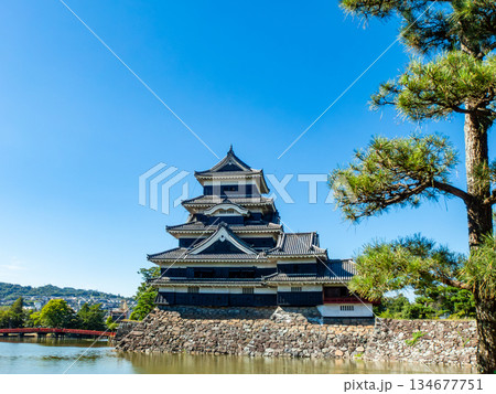 夏の爽やかな松本城の景色　お堀と城郭 134677751