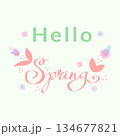 Hello Spring. Hand drawn card for decoration spring times, Mothers Day, Easter. Spring poster with crocuses. Concept of trendy spring cover. 134677821