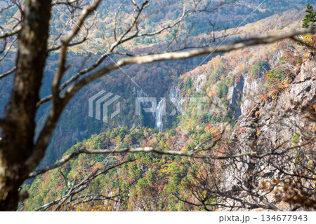 奈良県　三重県　大台ヶ原の風景 134677943