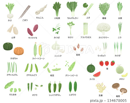 特定野菜のイラストセット　色鉛筆画 134678005