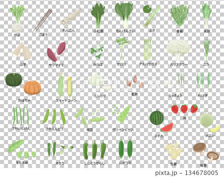 特定野菜のイラストセット　色鉛筆画 134678005