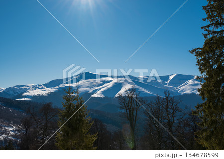 Sunny winter mountain landscape with snow-covered peaks, evergreen forest and clear blue sky, showcasing pristine alpine nature, cold season scenery and peaceful wilderness environment 134678599