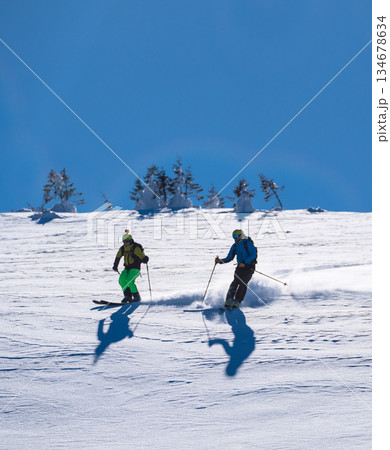 Three skiers carve down a sunny, powder-covered mountain slope, kicking up fresh snow under a clear blue sky, creating a dynamic winter sports action scene 134678634