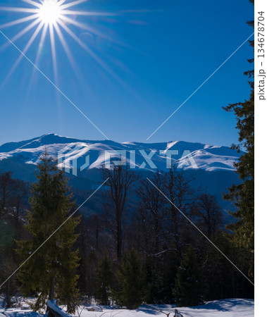 Sunny winter mountain landscape with snow-covered peaks, evergreen forest and clear blue sky, showcasing pristine alpine nature, cold season scenery and peaceful wilderness environment Sunny winter mountain landscape with snow-covered peaks, evergreen forest and clear blue sky, showcasing pristine alpine nature, cold season scenery and peaceful wilderness environment 134678704