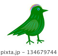 A green bird with a multi-colored crest 134679744