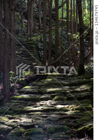 三重県　熊野古道　馬越峠 134679745