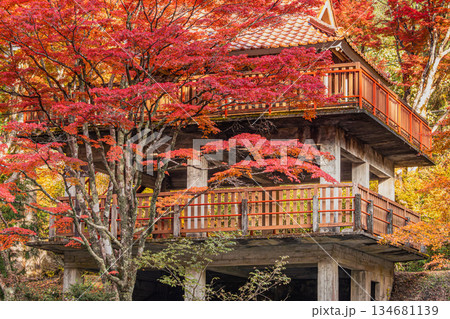 豊田市の大井平公園の風景(愛知県) 豊田市の大井平公園の風景(愛知県) 134681139