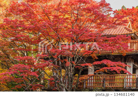 豊田市の大井平公園の風景(愛知県) 134681140