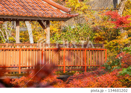 豊田市の大井平公園の風景(愛知県) 134681202