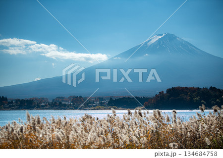 大石公園から望む すすきと富士山 大石公園から望む すすきと富士山 134684758