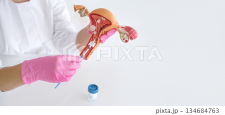 Banner on the medical topic of maintaining women's health in gynecology and taking tests to prevent the development and early diagnosis of cancer 134684763