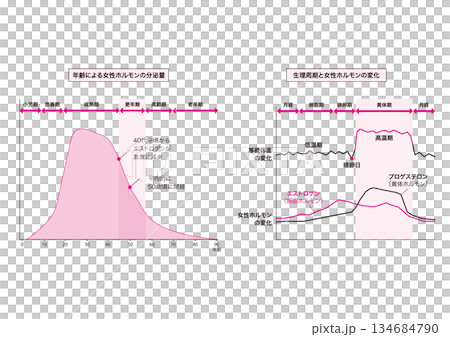 Simple graph for designers - Female hormone secretion levels - Menstrual cycle and changes in female hormones 134684790