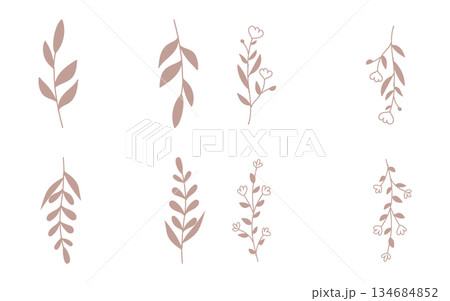 セピア色の手描きの葉っぱのフレームセット。 134684852
