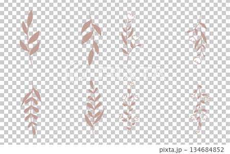 Sepia hand drawn leaf frames set. 134684852