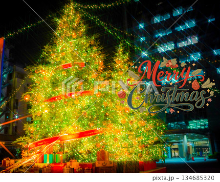 街の巨大ツリー 134685320