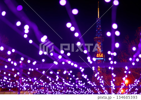 ホワイトイルミネーション 134685393