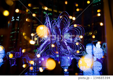 ホワイトイルミネーション 134685394