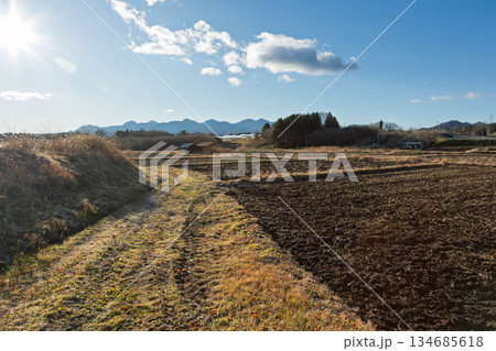 初冬の朝 北関東の農村風景 初冬の朝 北関東の農村風景 134685618