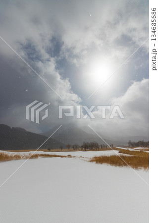 九重の雪景色(大分県九重町) 九重の雪景色(大分県九重町) 134685686