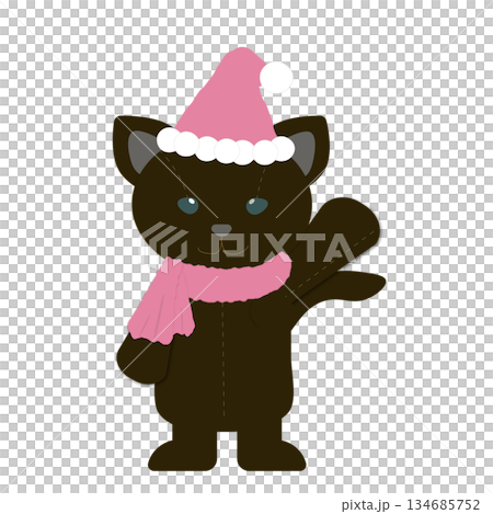 ピンクサンタのクリスマスねこ 134685752