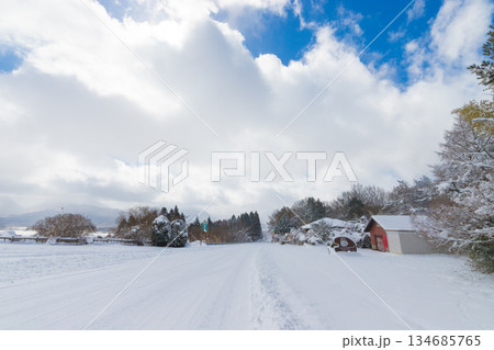 九重の雪景色（大分県九重町） 134685765