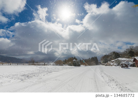 九重の雪景色（大分県九重町） 134685772