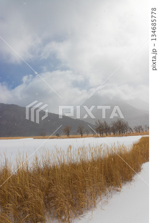 九重の雪景色（大分県九重町） 134685778