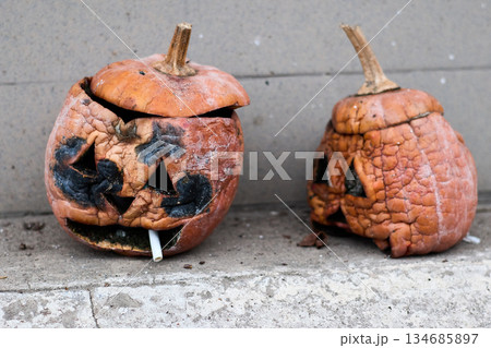 Sad, decaying jack-o'-lanterns with cigarette, forgotten after Halloween and left to rot. Sad, decaying jack-o'-lanterns with cigarette, forgotten after Halloween and left to rot. 134685897