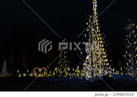 冬の夜のイルミネーション 134687019