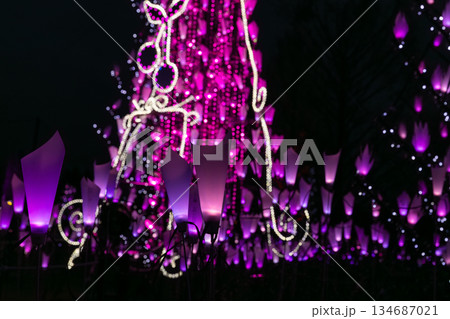 冬の夜のイルミネーション 134687021