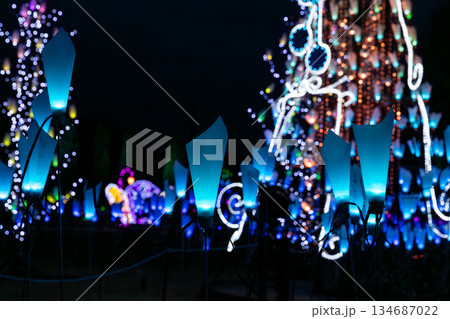 冬の夜のイルミネーション 134687022