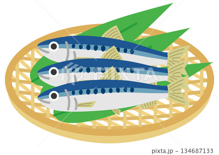 ざるに入ったイワシのイラスト 134687133