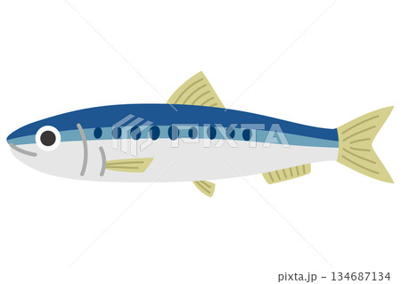 ざるに入ったイワシのイラスト ざるに入ったイワシのイラスト 134687134