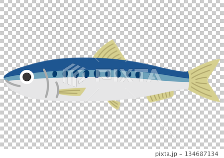 ざるに入ったイワシのイラスト ざるに入ったイワシのイラスト 134687134
