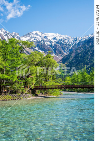 さわやか上高地『新緑シーズンの河童橋と穂高連峰 』《長野県 松本市》　 134687294