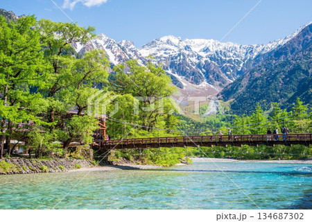 さわやか上高地『新緑シーズンの河童橋と穂高連峰 』《長野県 松本市》　 134687302